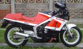 1988 Suzuki RG 500 Gamma photo